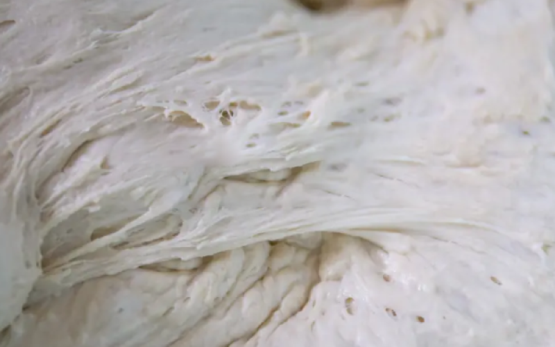 Fermented-Wheat-Flour